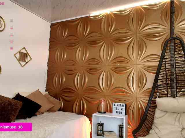 Anniemuse webcam