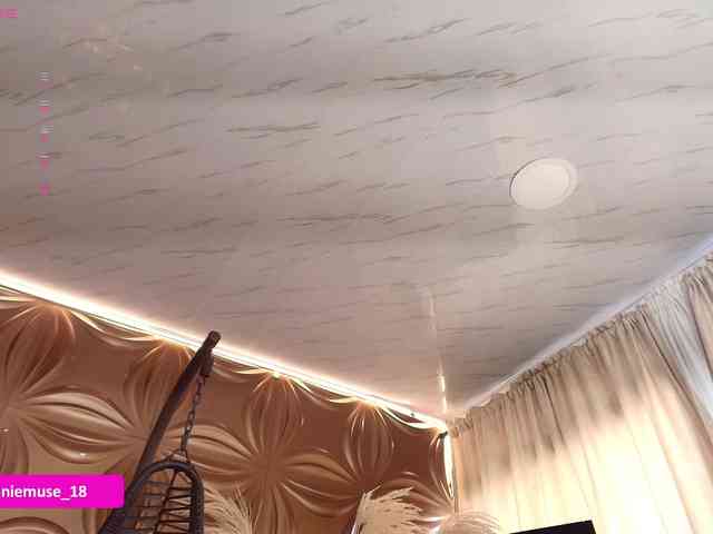 Anniemuse webcam