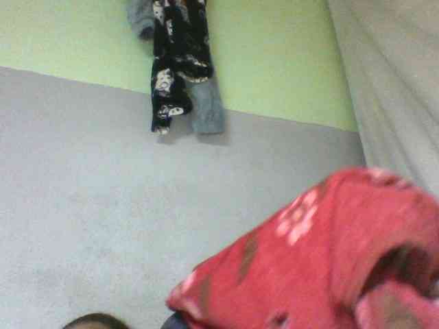 Florecia1 webcam