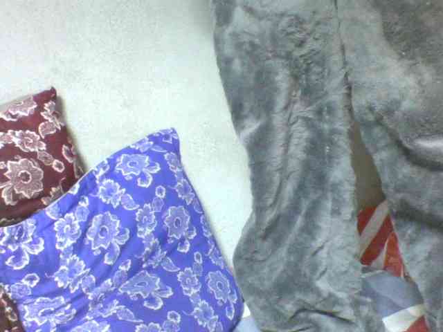 Florecia1 webcam