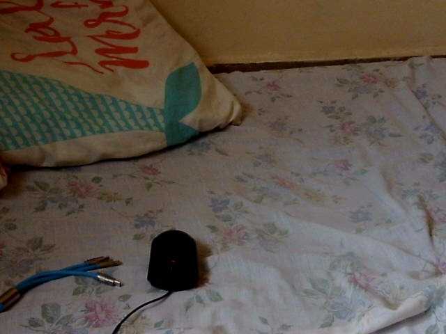 babyellah live cam on BongaCams