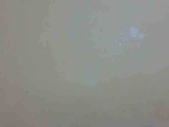babyellah webcam