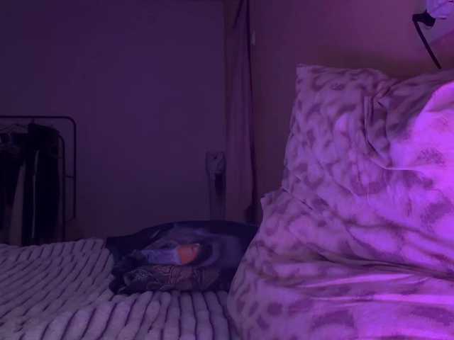 kattiecatty online