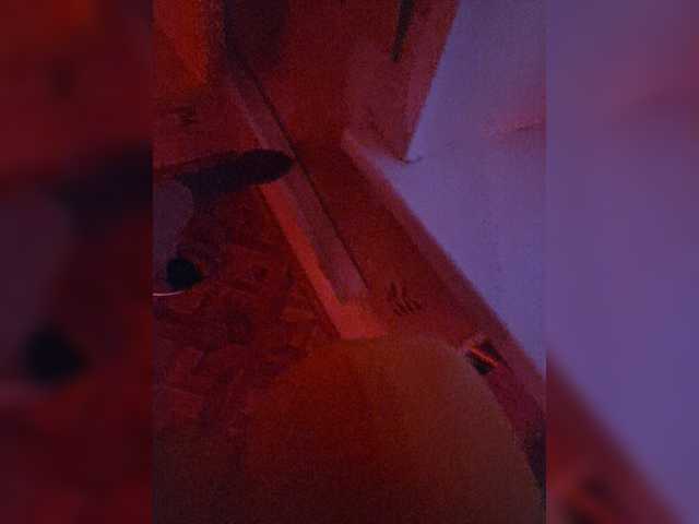 ---Alice---