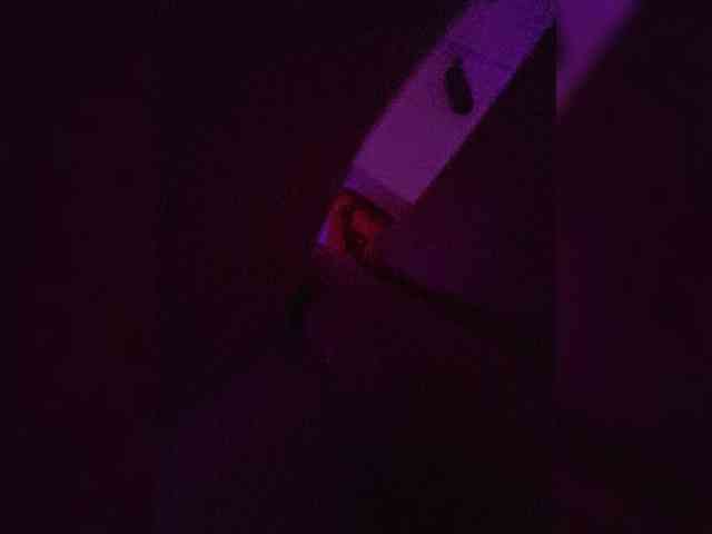 ---Alice--- webcam