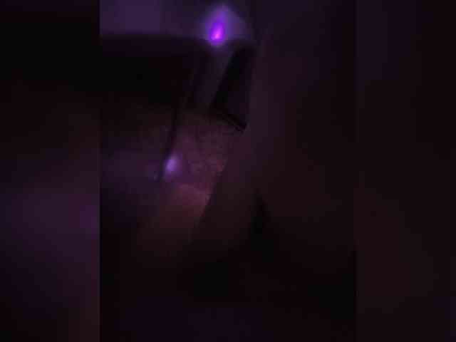 ---Alice--- webcam