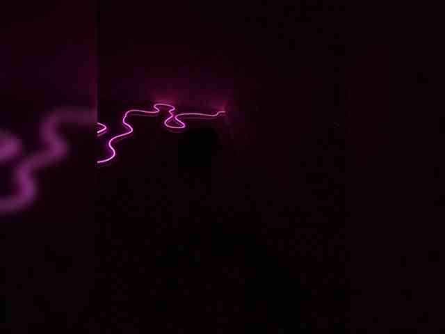 ---Alice--- webcam