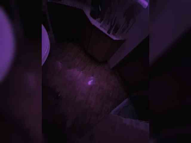 ---Alice--- webcam