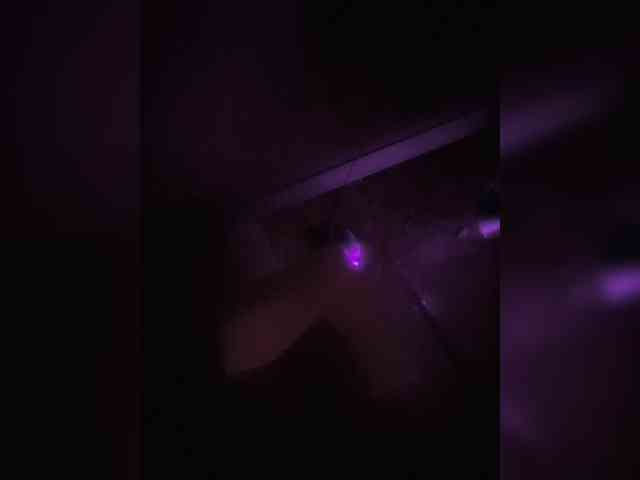 ---Alice--- webcam