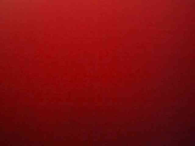 Jhaniwild40a webcam