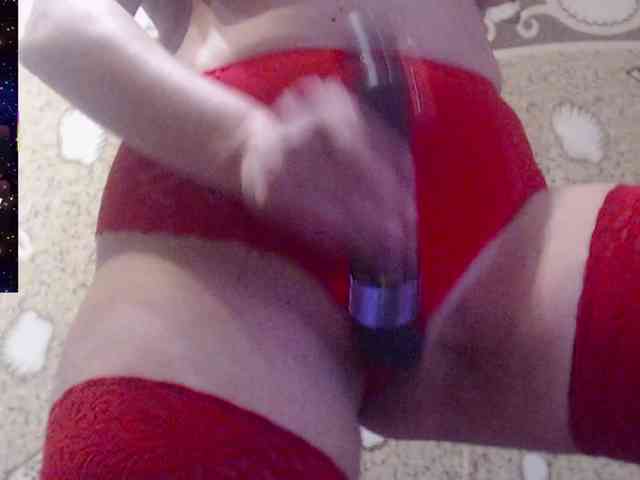 _Redhead_fox_ webcam