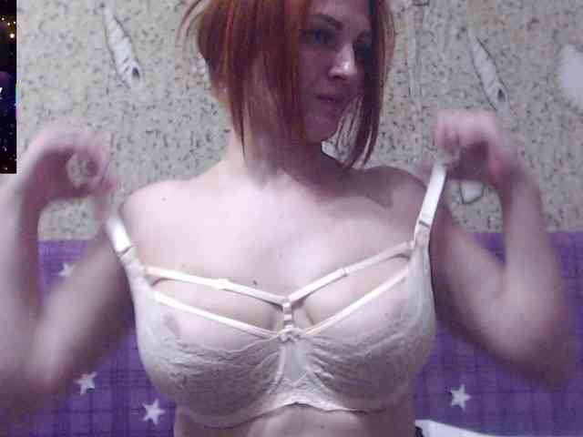_Redhead_fox_ webcam