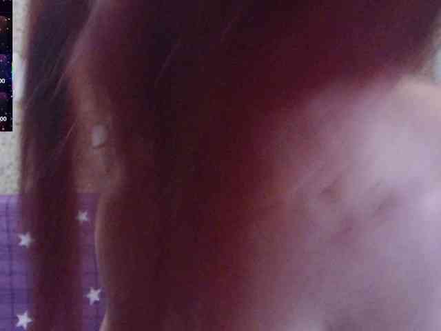_Redhead_fox_ webcam