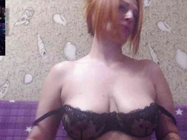 _Redhead_fox_ webcam