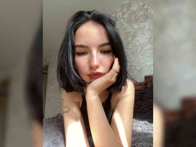 Sonitta webcam