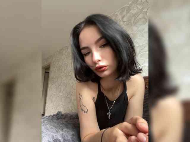 Sonitta webcam