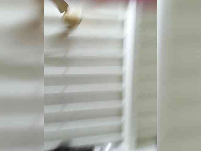 Khadija3's webcam live show