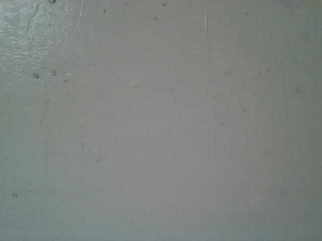 Scarleta live webcam show