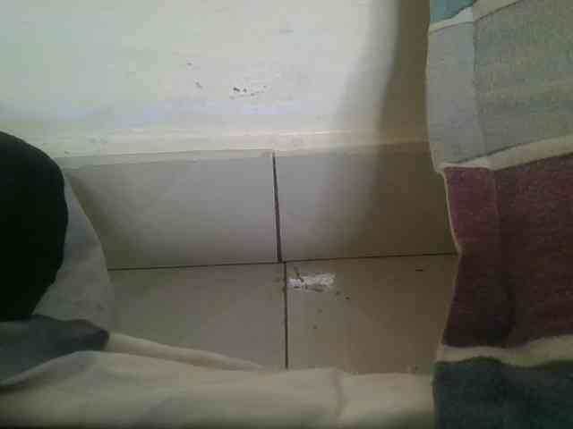 Scarleta webcam