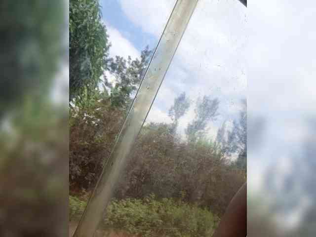 Scarleta webcam