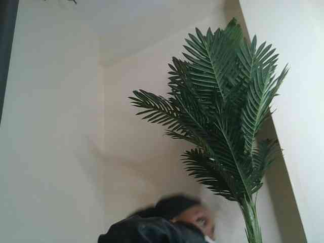 Scarleta webcam