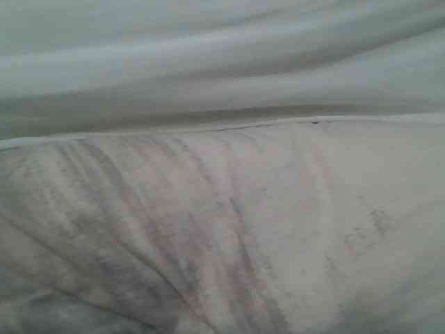Scarleta webcam