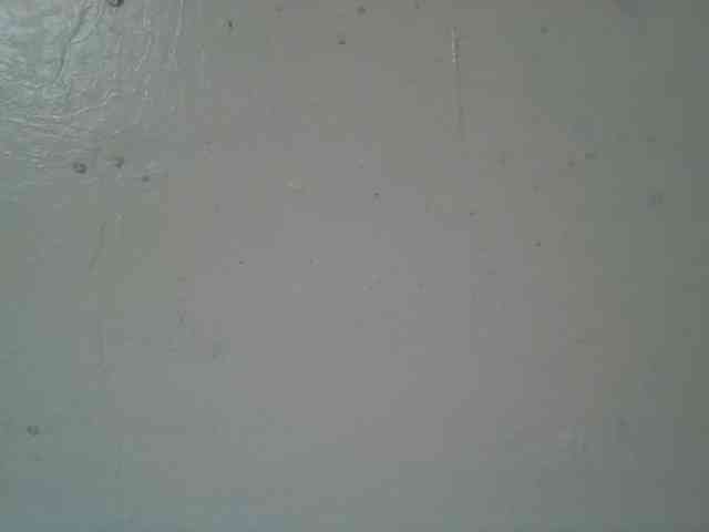 Scarleta webcam