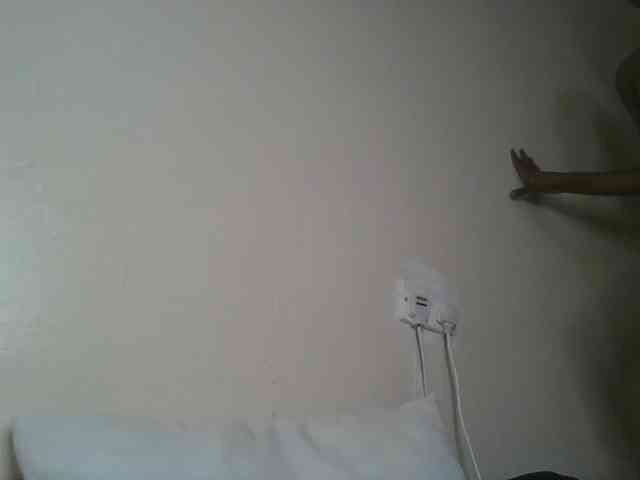 Scarleta webcam