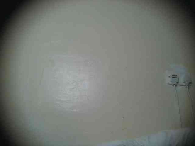 Scarleta webcam