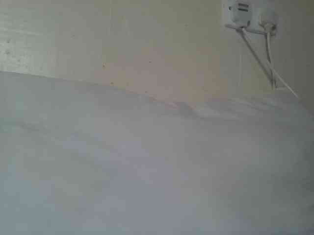 Scarleta webcam