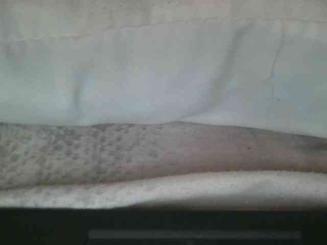 Scarleta webcam