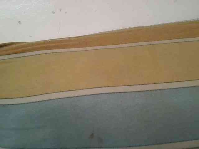 Scarleta webcam
