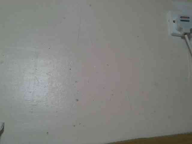 Scarleta webcam