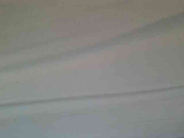 Scarleta webcam