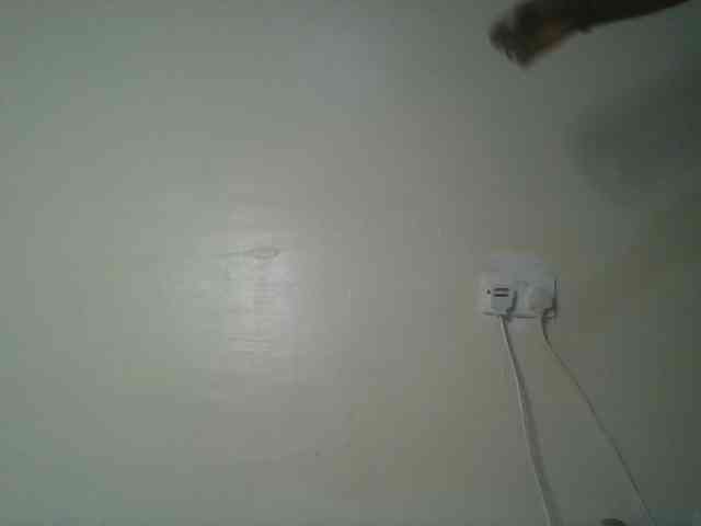 Scarleta webcam