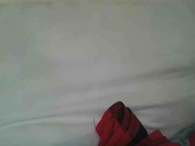 Scarleta webcam