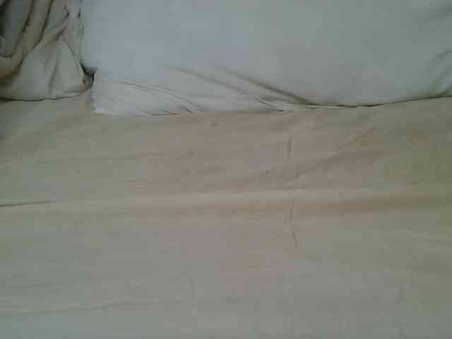 Scarleta