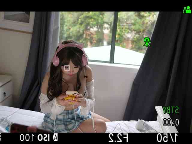 wokiki webcam