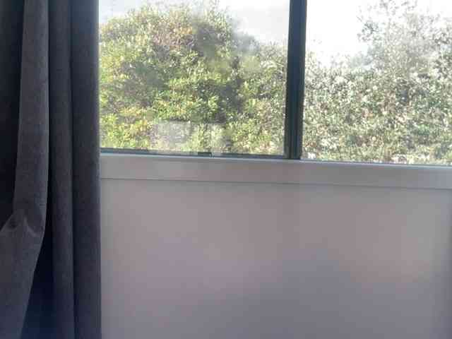 wokiki webcam