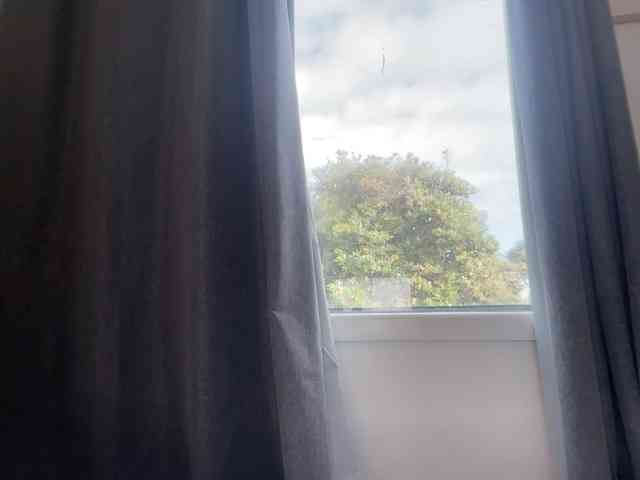 wokiki webcam