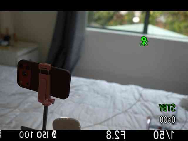 wokiki webcam