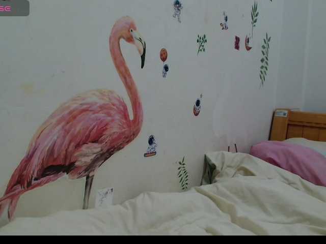 Rexxa-flower live cam on BongaCams