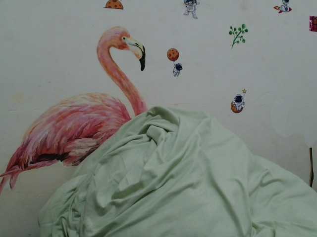 Rexxa-flower live cam on BongaCams