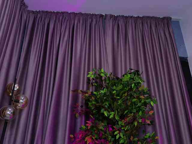 VelvetRavenXX