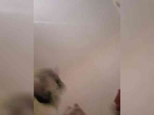 Laima18 webcam
