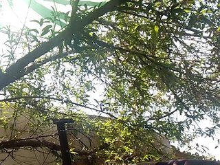Carrielove's Live Webcam