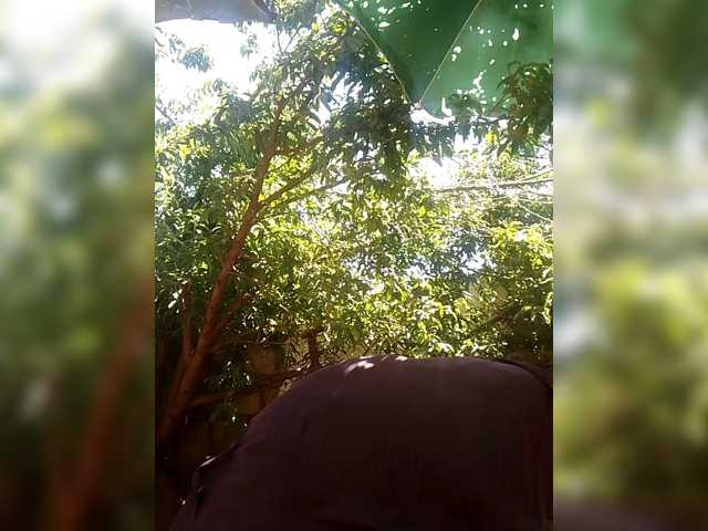 Carrielove