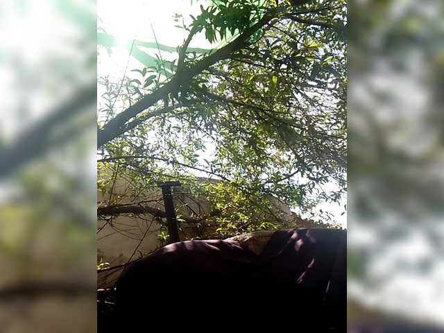 Carrielove live cam preview