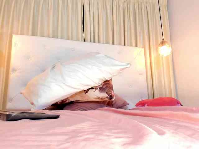 Samantha-lenox webcam