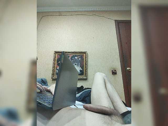 Arcalesta